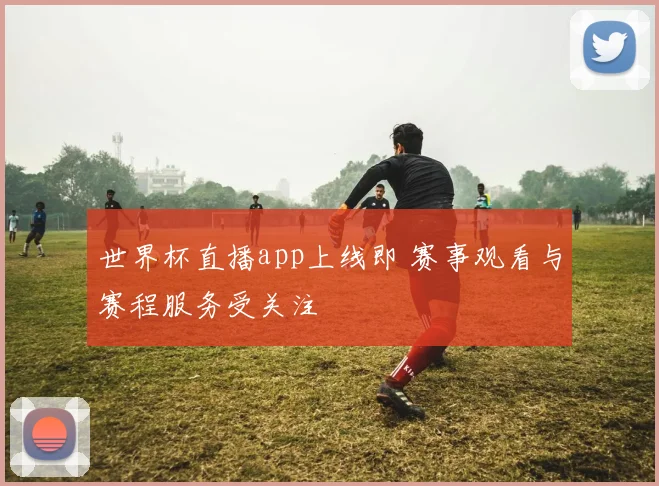 世界杯直播app上线即 赛事观看与赛程服务受关注