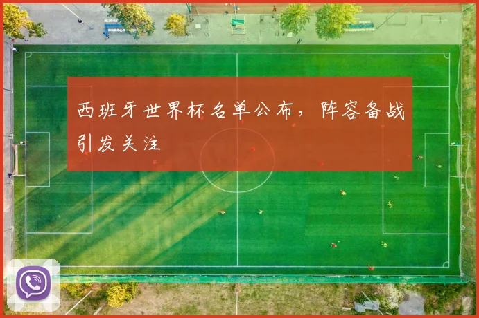 西班牙世界杯名单公布,阵容备战引发关注