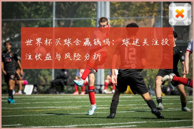 世界杯买球会赢钱吗：球迷关注投注收益与风险分析