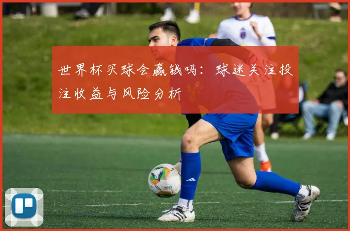 世界杯买球会赢钱吗：球迷关注投注收益与风险分析